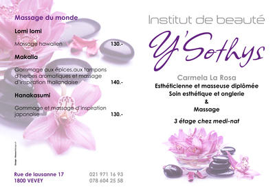 INSTITUT Y^SOTHYS 2014